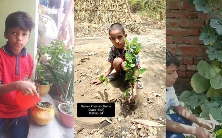 हरदोई न्यूज़: पर्यावरण दिवस के संदर्भ में चल रहे सात दिवसीय ग्रीष्मकालीन शिविर के अंतर्गत विद्यालय में एक किचन गार्डन की स्थापना की गई- प्राचार्य