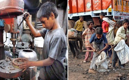 हरदोई न्यूज़: बाल श्रमिकों को श्रम से मुक्त करते हुये उन्हे शिक्षा से जोड़ने का लिया गया संकल्प।