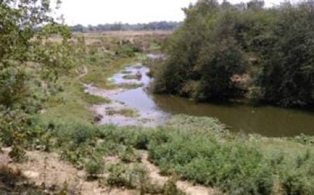 मैं रेठ नदी हूं...बीकेटी की ‘जीवन रेखा’, अपने अस्तित्व को बचाने की लगा रही हूं गुहार, कोई तो पहल करे।