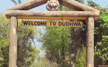 लखीमपुर-खीरी। अब 25 जून तक खुले रहेंगे दुधवा नेशनल पार्क के दरवाजे।