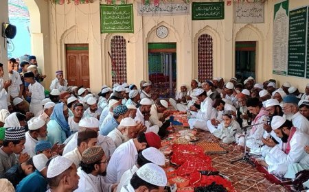 हरदोई न्यूज़: दरगाहें इंसानियत की मिसाल हैं-मदनी मियां