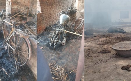 गाजीपुर न्यूज़: आग लगने से लाखों का सामान जलकर खाक, आग के चपेट में आने से जिंदा भैंस भी जली।