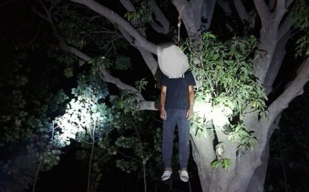 देवबंद न्यूज़: संदिग्ध परिस्थितियों में पेड़ से लटका मिला युवक का शव, हत्या की आशंका, जांच में जुटी पुलिस।