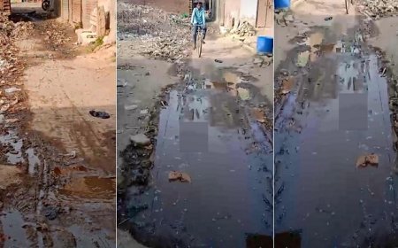 हरपालपुर की गलियों मे भरा पानी  कीचड़ व गंदगी का लगा अंबार, जिम्मेदारों की नही पड़ी नजर।