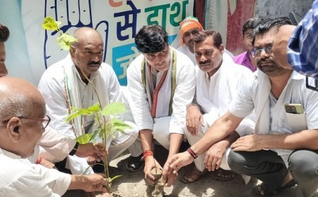 लोकतंत्र और संविधान की रक्षा की बुलन्द आवाज- वृक्षारोपण कर कांग्रेसजनों ने जननायक की लम्बी उम्र की कामना की।