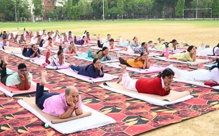 अंबेडकरनगर न्यूज़: एनटीपीसी में हुआ सामूहिक योगाभ्यास।