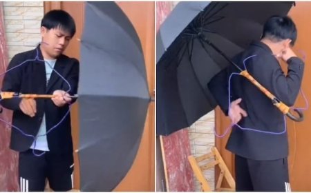 वायरल न्यूज़: आनंद महिंद्रा ने सोशल मीडिया पर शेयर किया दिलचस्प वीडियो, जानिए लोगों ने क्या कहा।