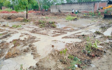 हरदोई न्यूज़: कुरसठ मे हटाया गया अवैध कब्जाः-राकेश सिंह