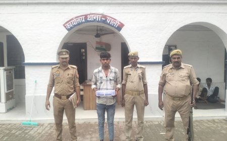 हरदोई न्यूज़: पाली पुलिस ने युवक को तमंचे के साथ किया गिरफ्तार। 