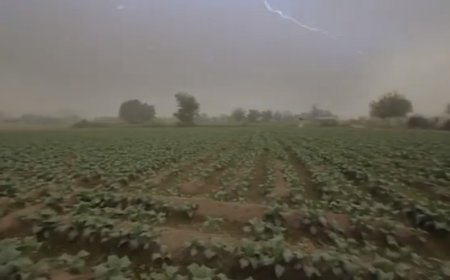 बलिया न्यूज़: वज्रपात से वचाव के लिए एडवाइजरी जारी।