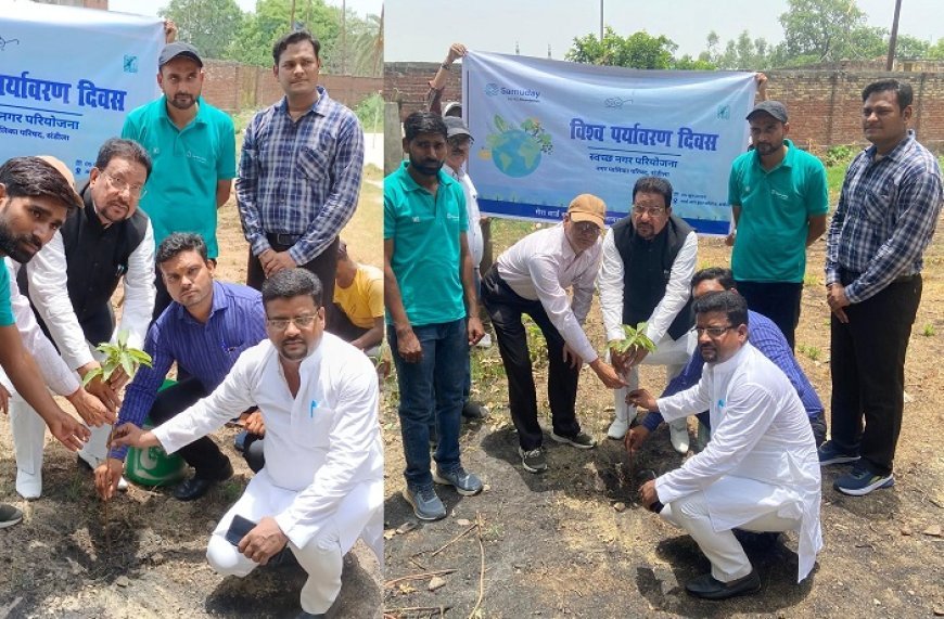 हरदोई न्यूज़: विश्व पर्यावरण दिवस के अवसर पर नगर पालिका अध्यक्ष  ने  वृक्षारोपण  किया।