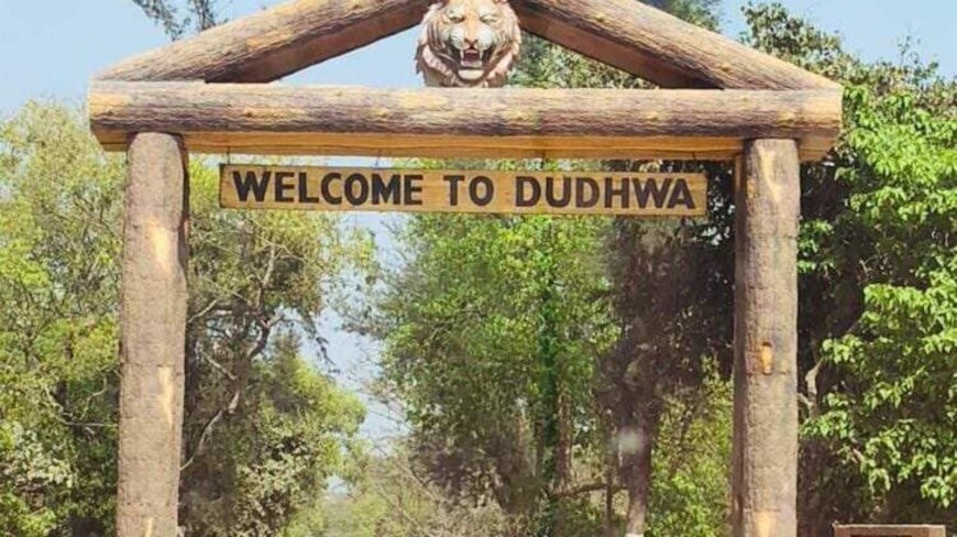 लखीमपुर-खीरी। अब 25 जून तक खुले रहेंगे दुधवा नेशनल पार्क के दरवाजे।
