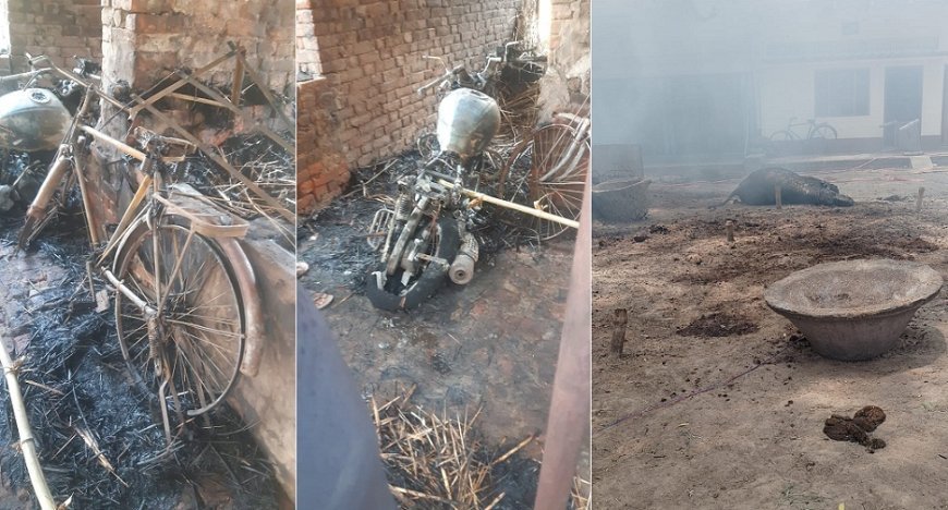 गाजीपुर न्यूज़: आग लगने से लाखों का सामान जलकर खाक, आग के चपेट में आने से जिंदा भैंस भी जली।