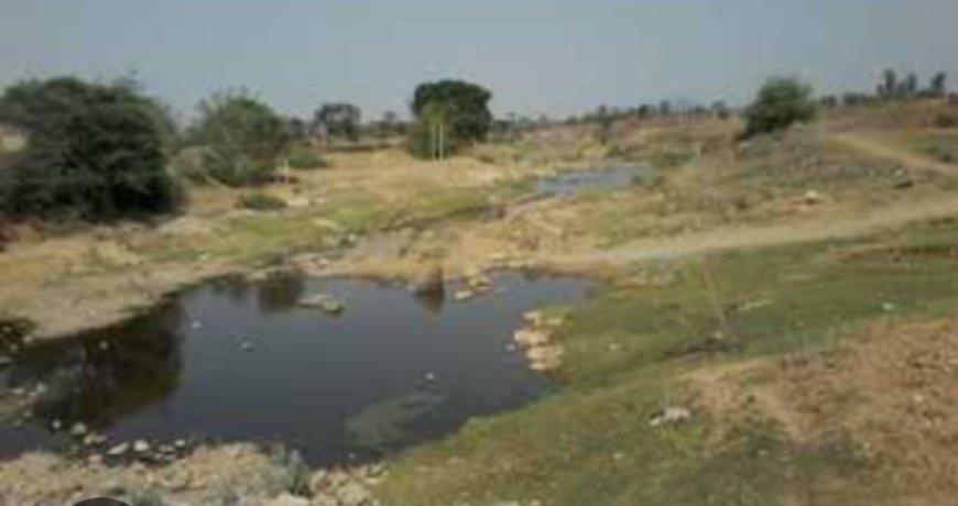 विशेष खबर: सई ( भैसटा) न सह सकी कलियुग के 'पाप', राम को पवित्र करने वाली सई (भैसटा) नदी के अस्तित्व पर खतरा।