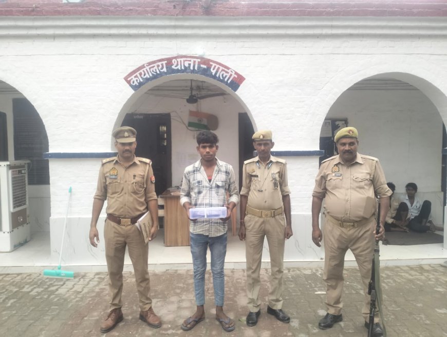 हरदोई न्यूज़: पाली पुलिस ने युवक को तमंचे के साथ किया गिरफ्तार। 