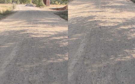 हरदोई न्यूज़: सड़क निर्माण कार्य में हो रही देरी से लोगों में आक्रोश। 