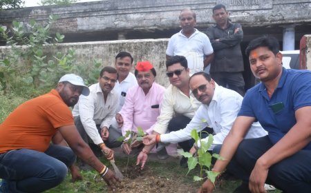 कानपुर न्यूज़: पौधा लगाकर जीवन दान दें पीडीए वृक्षारोपण का आयोजन। 