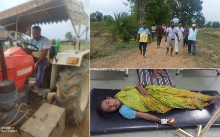 मध्यप्रदेश न्यूज़: खेत में फसल लगाने गईं महिला और उसके दो बेटों के साथ जमकर मारपीट, मारपीट वीडियो हुआ वायरल।