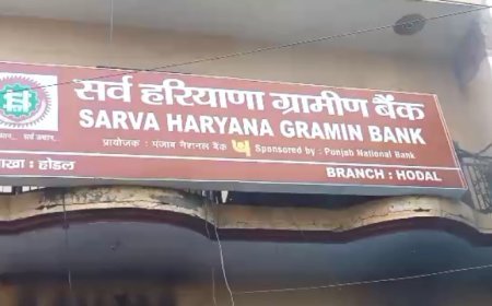 पलवल न्यूज़: पलवल होडल बैंक में लगी आग।