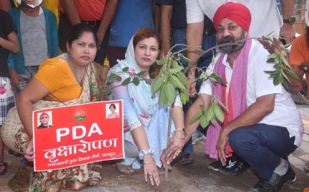 कानपुर न्यूज़: हरे भरे पौधे लगाकर लोगों को जीवन दान दे, एक कदम बढ़ाए। 