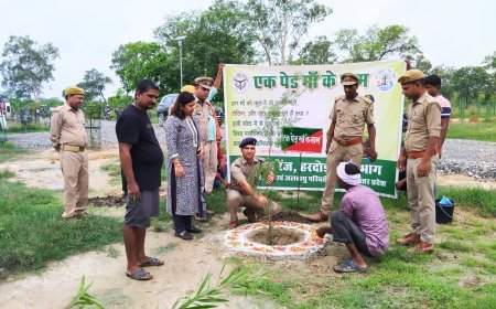 हरदोई न्यूज़: वन महोत्सव का आगाज, नगर वन में उपप्रभागीय वन अधिकारी ने रोपित किए गए पौधे। 