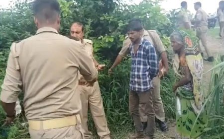 हरदोई न्यूज़: खेत में पड़ा मिला गोवंशों का अवशेष, नाराज ग्रामीणों ने जमकर काटा हंगामा, 2 दिन पहले चोरी हुए थे बैल। 