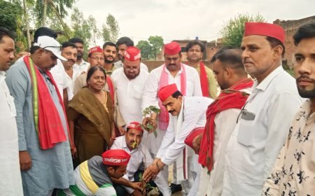 शाहजहांपुर न्यूज़: पेड़ लगाना इंसान की पहली जरूरत है पेड़ों को हम सबको मिलकर लगाना चाहिए : राजपाल कश्यप