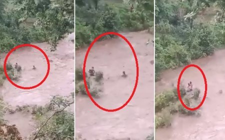 मध्यप्रदेश न्यूज़: तेज बारिश से बाढ़ में फसी महिला,ग्रामीणों ने सूझबूझ से बचाई महिला की जान, वीडियो हो रहा वायरल।