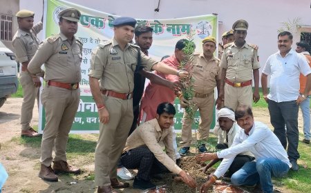 हरदोई न्यूज़: पर्यावरण संरक्षण हम सब की प्राथमिकता - पर्यावरण प्रहरी अभिनीत मौर्य 