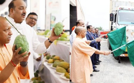लखनऊ न्यूज़: मुख्यमंत्री ने तीन दिवसीय उ0प्र0 आम महोत्सव-2024 का शुभारम्भ किया।