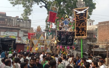 सम्भल न्यूज़: या हुसैन कि सदाओं में निकला अलम का जुलूस। 