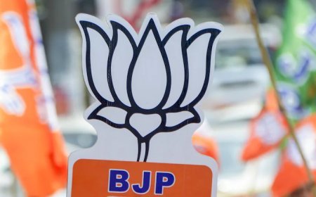 लोकसभा चुनाव में करारी हार के दाग को मिटाने में जुटी भाजपा- वि.स. उपचुनाव- 10 सीटों पर जीत को लेकर राजनैतिक पार्टियों में चल रही उठापटक।