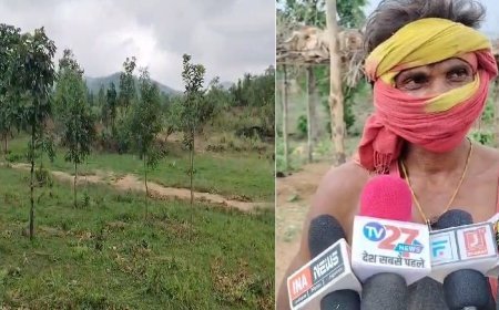 मध्यप्रदेश न्यूज़:  रेंज में डीएम की लापरवाही से सागौन के प्लान्टेशन में लगभग 200 से 250 हेक्टेयर में हुआ अतिक्रमण ,शासन के लाखों रुपयों की हो गई बंदरबांट। 