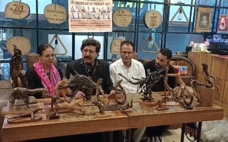 मसूरी में रिटायर्ड इंजीनियर गिरीश खंडूरी जंगलों की पडी लड़कियों और पेड़ों की जड़ों से बना रहे आकर्षक आकृतियां, 12 बार अंतर्राष्ट्रीय पुरस्कार से हो चुके  है सम्मानित। 