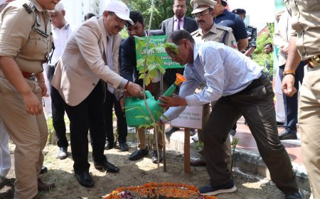 लखनऊ न्यूज़ - खंडपीठ परिसर में वृक्षारोपण जन-महाभियान का आयोजन