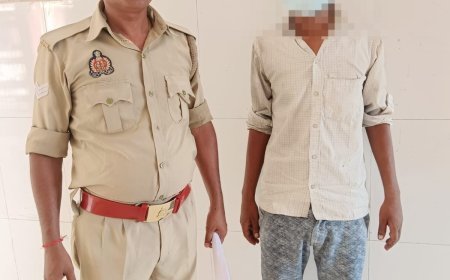 हरदोई न्यूज़ - घर में घुसकर छेड़छाड़ का आरोप, एक गिरफ्तार