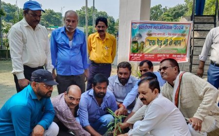 हरदोई न्यूज़:  एक पेड़ मां के नाम- नगर पालिका अध्यक्ष सुखसागर मिश्र मधुर ने किया पौधारोपण।