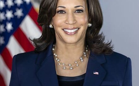 अमेरिकी राष्ट्रपति दावेदारी के लिए भारतीय-अफ्रीकी मूल की कमला हैरिस पर टिकीं सभी की निगाहें..