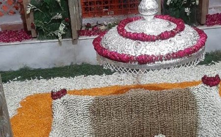 वाराणसी: भक्तों के लिए खोला गया बाबा विश्वनाथ के दर्शन का विशेष द्वार