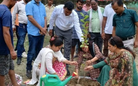 शाहजहांपुर न्यूज़: औषधि वन वाटिका में "वीआईपी ग्रुप ने पौधरोपण किया। 