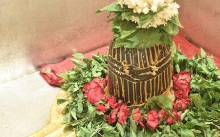 सावन के दूसरे सोमवार को भक्त करेंगे बाबा के विशेष स्वरूप का दर्शन। 