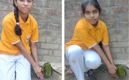 हरदोई: जीनियस स्कूल के बच्चो ने 'एक पेड़, मां के नाम' कार्यक्रम के तहत लगाये पेड़