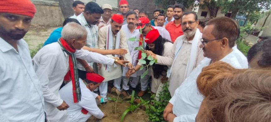 शाहजहांपुर न्यूज़: एक जुलाई से सात जुलाई तक चलेगा पेड़ लगाने का अभियान : तनवीर खान