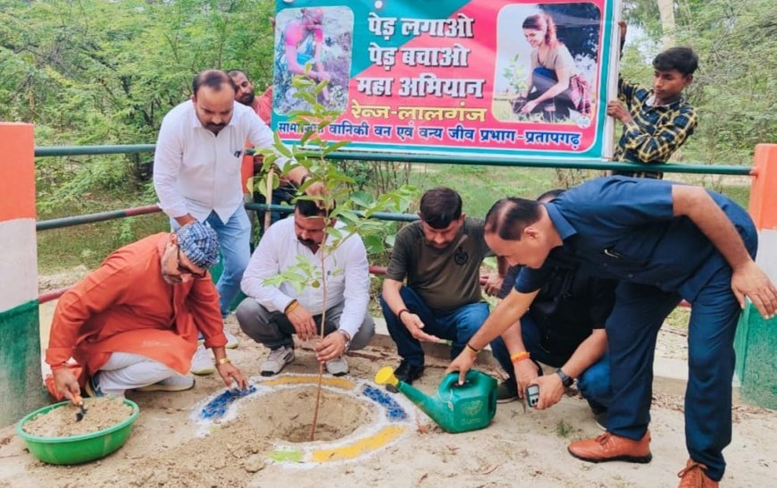 प्रतापगढ़ न्यूज़: वन महोत्सव अभियान में हुए पौधरोपण, जागरूकता संगोष्ठी। 