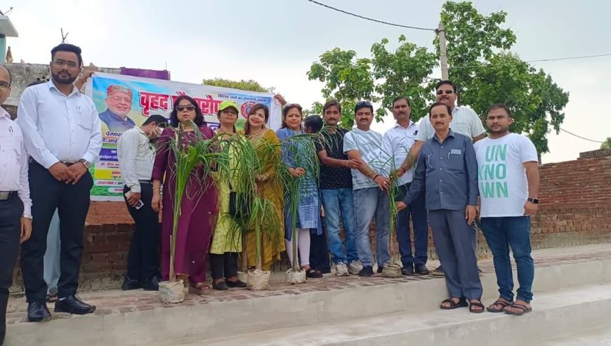 शाहजहाँपुर न्यूज़: वीआईपी ग्रुप ने ग्राम शहबाजनगर में 2505 पौधे रोपित किये। 