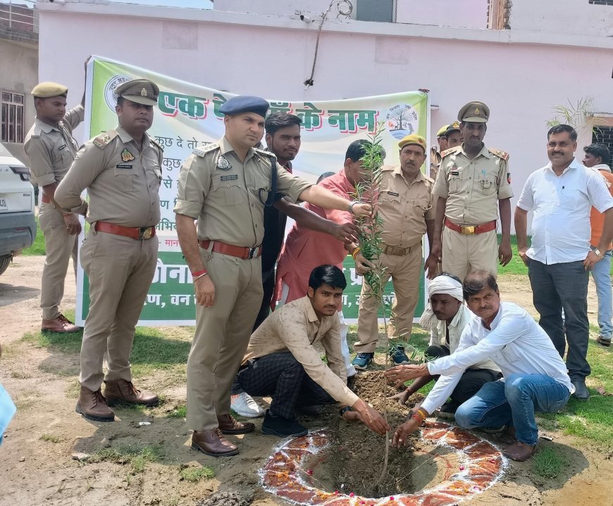 हरदोई न्यूज़: पर्यावरण संरक्षण हम सब की प्राथमिकता - पर्यावरण प्रहरी अभिनीत मौर्य 
