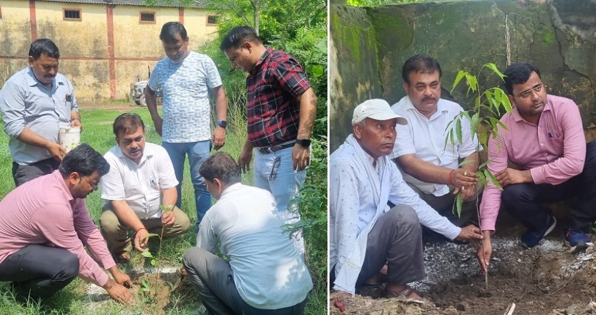 हरदोई न्यूज़: एक पेड़ माँ के नाम अभियान- पीसीएफ अध्यक्ष द्वारा परिसर में 21 पौधे रोपित किए गए। 