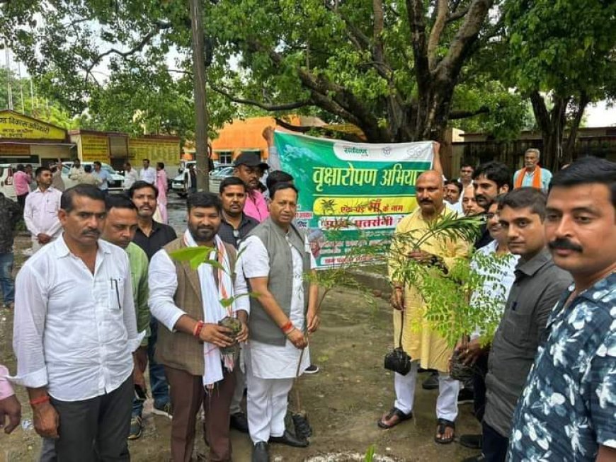 हरदोई न्यूज़: अधिक से अधिक पेड़ लगाकर पर्यावरण को स्वच्छ एवं हरा-भरा बनाना हमारा कर्तव्य : अजीत सिंह बब्बन