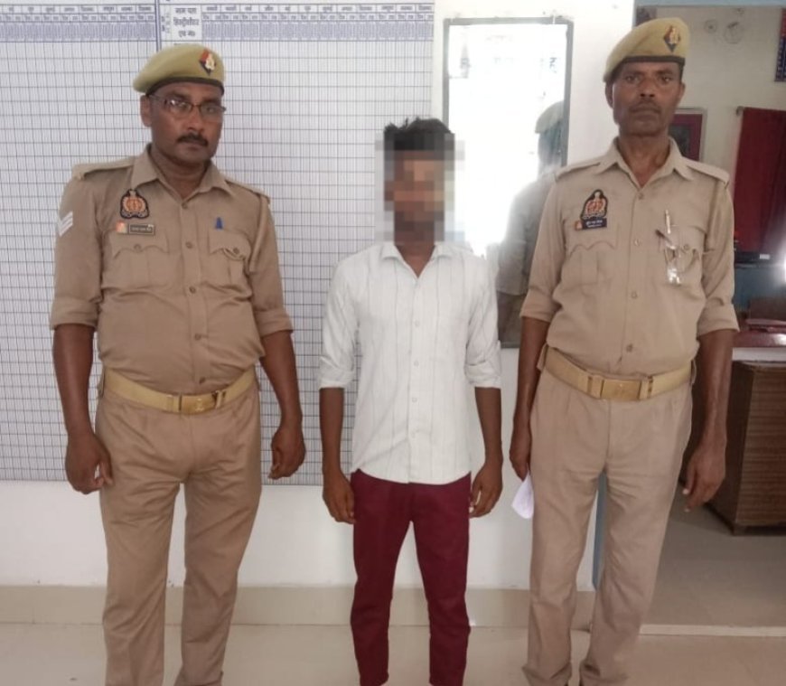 हरदोई न्यूज़: लड़की को भगा ले जाने के मामले में एक गिरफ्तार