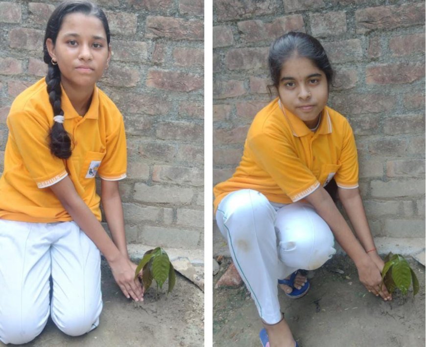 हरदोई: जीनियस स्कूल के बच्चो ने 'एक पेड़, मां के नाम' कार्यक्रम के तहत लगाये पेड़